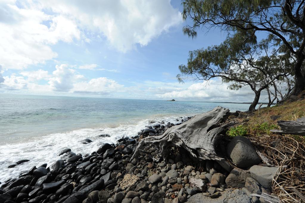 Discovery Parks - Bargara Exteriér fotografie
